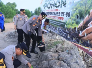 Polresta Pangkalpinang Rayakan Hari Bhayangkara dengan Penanaman Ratusan Bibit Mangrove untuk Masa Depan Berkelanjutan