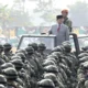 Presiden Prabowo Umumkan Temuan Cadangan Emas Raksasa di Pegunungan Papua, Hasil Ekspedisi BRIN dan TNI