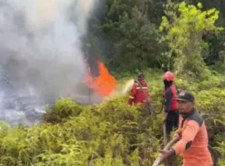 Puncak Musim Kemarau 2026 Diprediksi Agustus‑September, Ancaman Kekeringan dan Kebakaran Lahan di Bangka Belitung