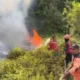 Puncak Musim Kemarau 2026 Diprediksi Agustus‑September, Ancaman Kekeringan dan Kebakaran Lahan di Bangka Belitung