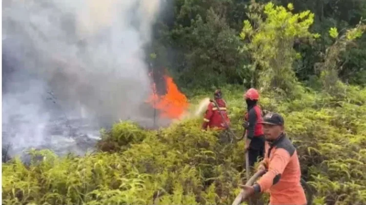 Puncak Musim Kemarau 2026 Diprediksi Agustus‑September, Ancaman Kekeringan dan Kebakaran Lahan di Bangka Belitung