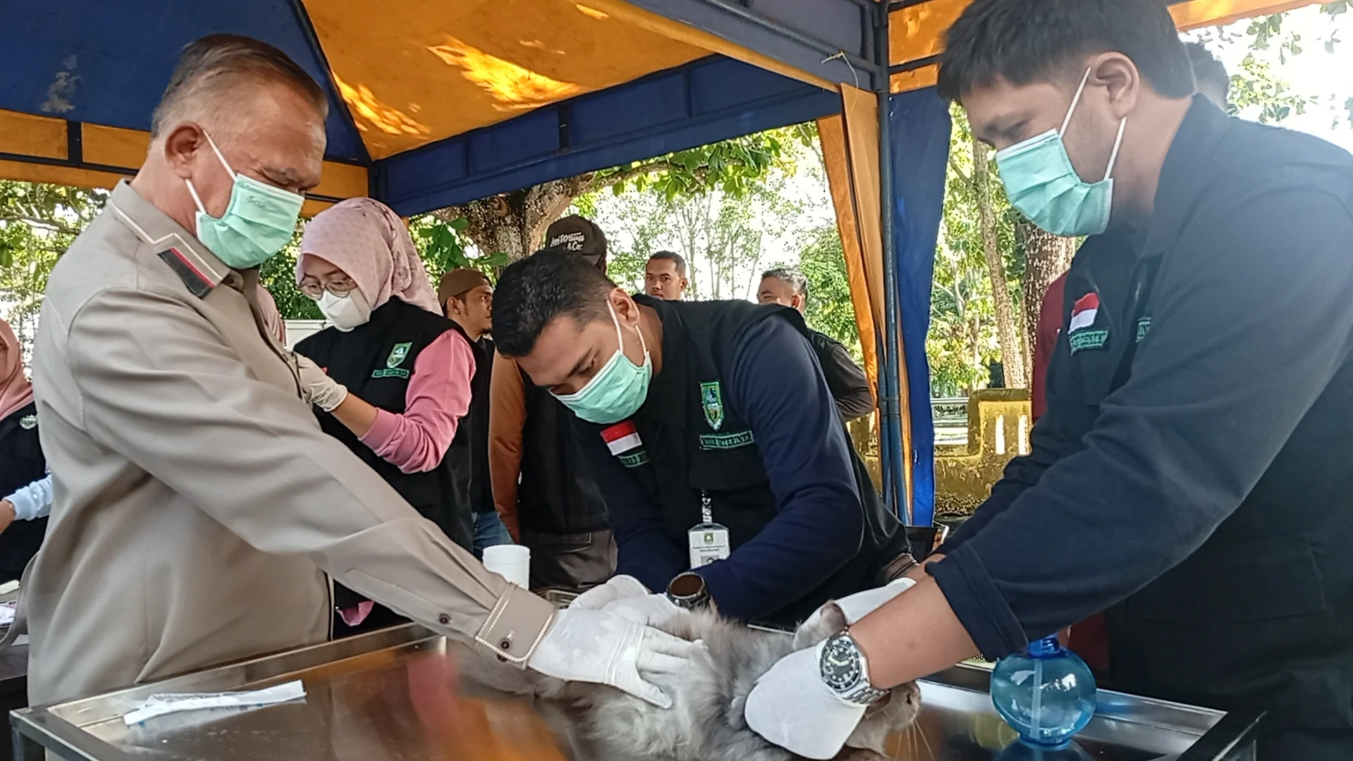 Ratusan Hewan Peliharaan di Bengkalis Dapat Vaksin Rabies Gratis, Program Berlanjut hingga September 2026