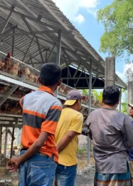 Relokasi Kandang Ayam BUMDes Gemaripah Diminta Warga Tuwiri Wetan Tuban Akibat Serangan Lalat