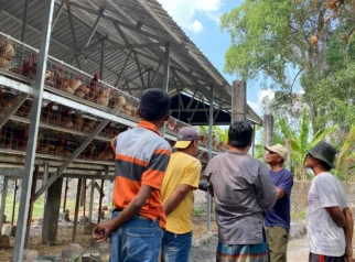Relokasi Kandang Ayam BUMDes Gemaripah Diminta Warga Tuwiri Wetan Tuban Akibat Serangan Lalat