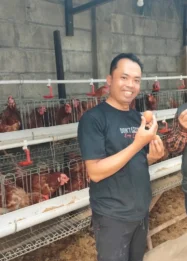 Surplus Produksi Telur Nasional Picu Harga Turun hingga Rp16 Ribu per Kg