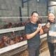 Surplus Produksi Telur Nasional Picu Harga Turun hingga Rp16 Ribu per Kg