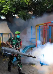 TNI Dampingi Fogging Cegah DBD di Citrodiwangsan Lumajang: Sinergi Militer dan Warga Ciptakan Lingkungan Sehat
