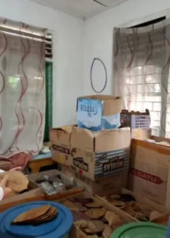 UMKM Bangka Belitung Raih Pasar Internasional dengan Ekspor Daun Ketapang