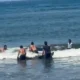 Upaya Heroik Warga Jembrana Selamatkan Paus Raksasa yang Terdampar di Pantai Perancak