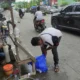 Usaha Ikan Hias di Palembang Bertahan Meski Tren Hobi Bergeser