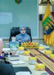 Wagub Lampung Percepat Eliminasi TBC di Tubaba lewat Tiga Arahan Strategis