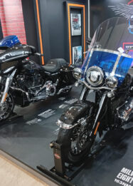 2 Moge Harley-Davidson Liberty Edition Melantai di GIIAS 2026, Ini Harganya