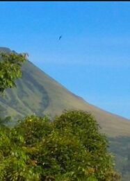 4 Pendaki Tersesat Semalaman di Gunung Lokon, Ditemukan Selamat