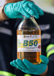 B50 Dongkrak Industri Sawit, Fuso Bidik Peluang di Sumatera dan Kalimantan