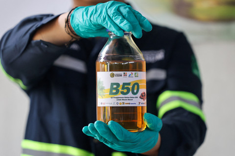B50 Dongkrak Industri Sawit, Fuso Bidik Peluang di Sumatera dan Kalimantan