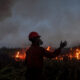 Foto Upaya Memadamkan Kebakaran Lahan di Arisan Jaya, Ogan Ilir