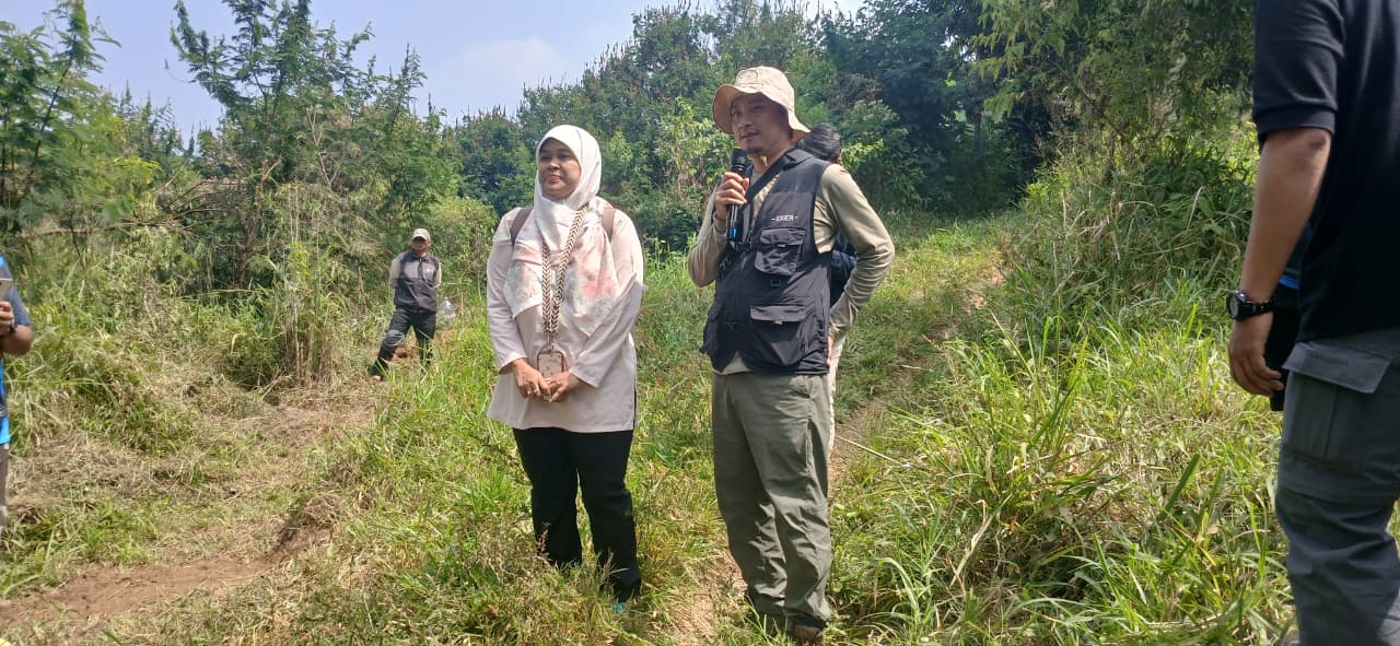 GRID Cardio Rush Tanam 1.500 Bibit Pohon di Gunung Gede Pangrango, ini Dampaknya bagi Lingkungan