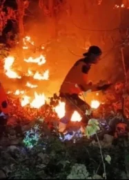 Hutan Jati di Perbatasan Situbondo dan Bondowoso Terbakar Capai 4 Hektare