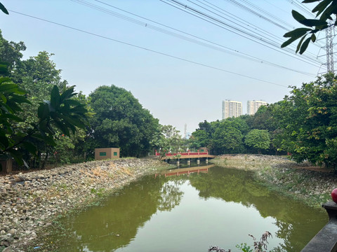 Hutan Kota di Jakarta Belum Merata, Akses Terbatas di Kawasan Kumuh