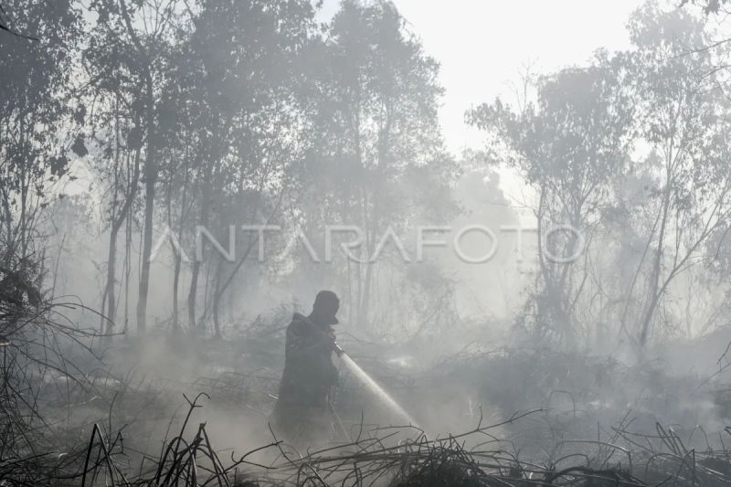 Karhutla dan Kemarau Panjang Bikin Kasus ISPA Alami Lonjakan