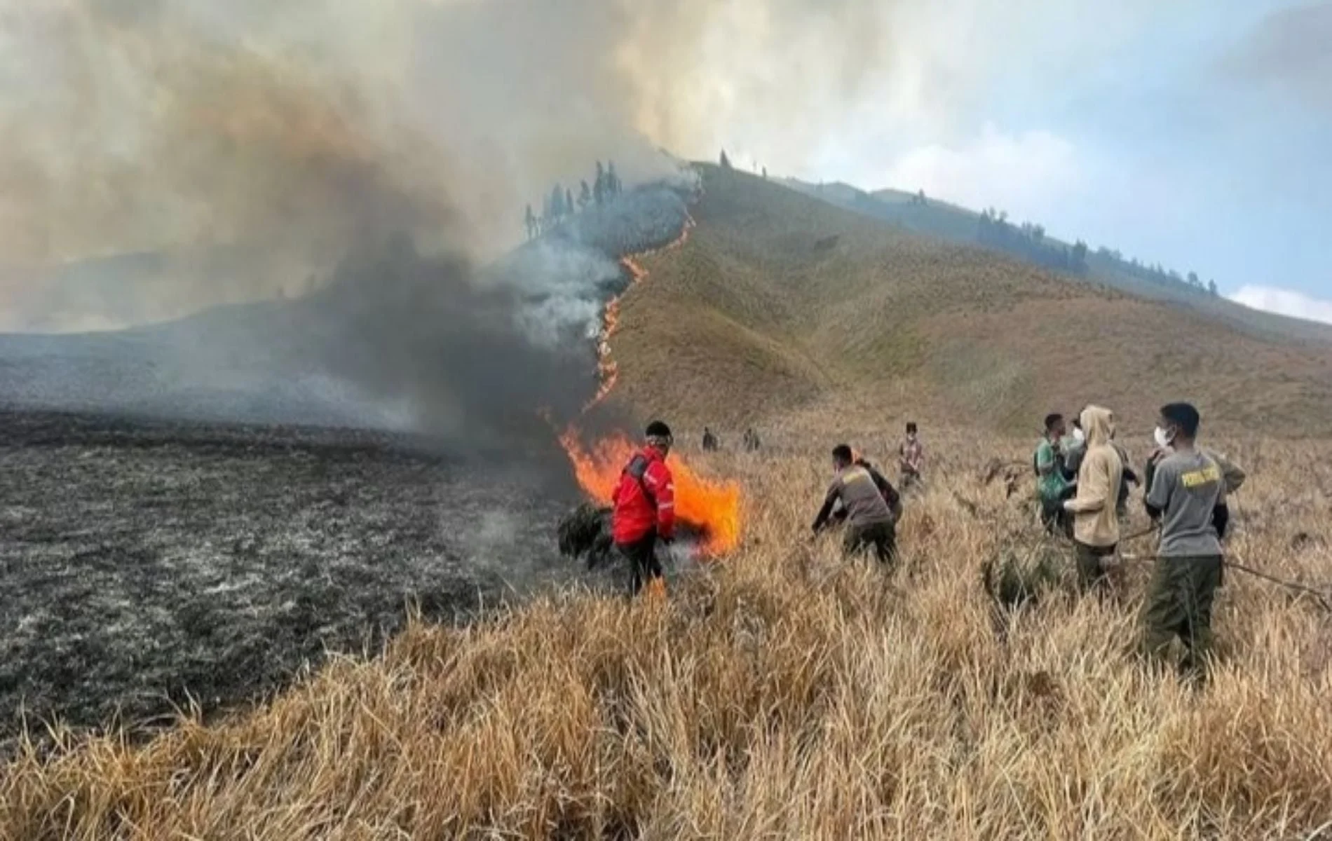 Karhutla Meluas, Gunung Bromo Ditutup Total: Cara Refund dan Reschedule Kunjungan Wisata