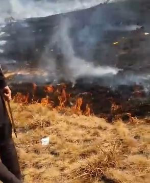 Kebakaran Gunung Gede Pangrango Masih Terjadi, Polisi Turunkan Pleton dengan APAR