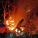 Kebakaran Hutan Jati Bondowoso Meluas 4 Hektare, Petugas Andalkan Kepyok Lokalisir Api