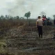 Kebakaran Hutan Way Kambas Diduga Sengaja Dibakar, Tim Gabungan Terus Lakukan Pemadaman dan Penyelidikan