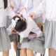 Komnas PA DKI Ungkap 90 Persen Anak Sekolah Melakukan Bullying, Kelas 1 SD Sudah Tahu Caranya