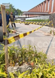 Lapangan Padel SixNine Tebang 10 Pohon, Wali Kota Bandung Marah