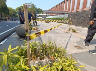 Lapangan Padel SixNine Tebang 10 Pohon, Wali Kota Bandung Marah