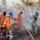 Menteri LH Klaim Jumlah Kebakaran Hutan Turun Tiap Tahun