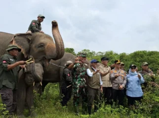 Misi Pasukan Langit TNI Padamkan Karhutla di Way Kambas untuk Lindungi Habitat Gajah Sumatera