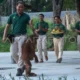Orang Utan Solo Safari Lepas, Pengawasan Diperketat untuk Cegah Insiden Serupa