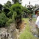 Pemkot Bandung Tangani Kasus Pengulitan dan Penyuntikan Cairan pada Pohon di Jalan Pahlawan