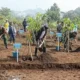Penebangan 35 Pohon di Bandung Soroti Dampak Lingkungan dan Respons Pemerintah