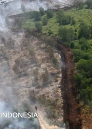 Prabowo Tinjau Kebakaran Hutan di Kalimantan Barat Tanpa Masker di Tengah Kabut Asap