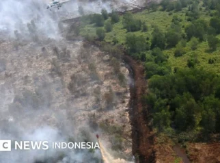 Prabowo Tinjau Kebakaran Hutan di Kalimantan Barat Tanpa Masker di Tengah Kabut Asap
