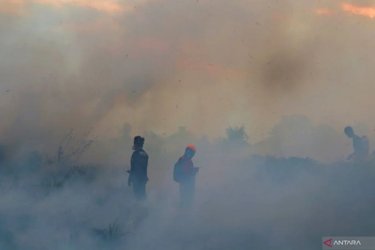 Terdampak Kabut Asap Tebal, Sekolah di Kalimantan Selatan Terapkan Pembelajaran Jarak Jauh
