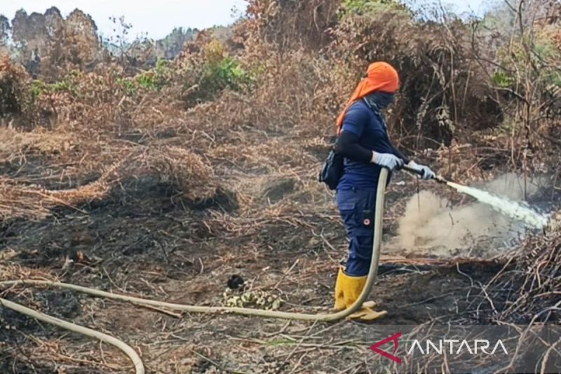 60 Hektare Bromo Hangus, Legislator Desak Kemenhut Perkuat Mitigasi Karhutla