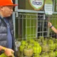 Bupati Situbondo Imbau Masyarakat Tak Panik Suplai LPG