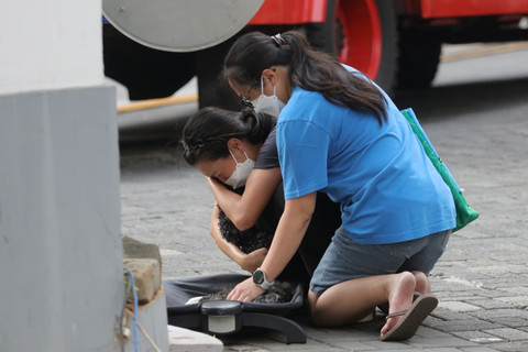 Foto Tangis Pilu Penghuni Pavilion, Anjing Kesayangan Tak Berdaya Akibat Kebakaran