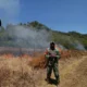 Karhutla Ijen, Titik Api Baru Muncul di Gunung Suket LPP RRI