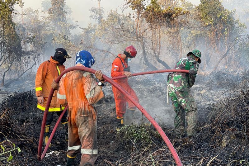 Karhutla Kalimantan Belum Reda, Pemerintah Kembali Andalkan OMC untuk Kejar Hujan