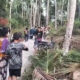 Khawatir Tsunami, Warga di Nagekeo NTT Berlarian ke Bukit