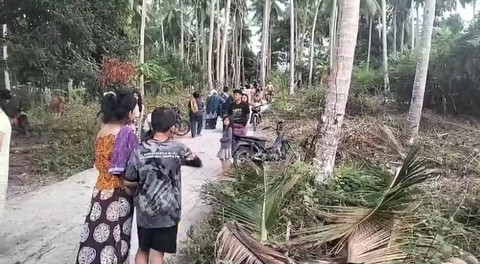 Khawatir Tsunami, Warga di Nagekeo NTT Berlarian ke Bukit