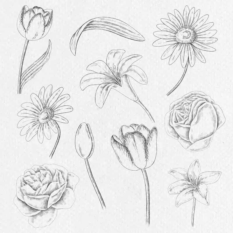 Kondisi Terkini Bek Persib Julio Cesar dan Jadwal Persib Setelah Laga Lawan FC Seoul di ACL Two 2026/2027