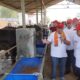 Pemprov DKI Bangun Kawasan Peternakan Sapi Terintegrasi di Ciangir, Investasi Capai Rp 1 Triliun