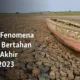 Peringatan El Niño Ekstrem: Inggris Diminta Menimbun Persediaan Pangan Menghadapi Perubahan Cuaca Global