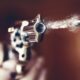 Polrestabes Medan Selidiki Motif Mantan Istri Polisi Bunuh Diri Pakai Pistol
